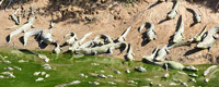 17sequia caimanes paraguay