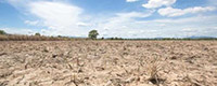 08Mas de 100 millones de hectareas de suelo estan afectadas por la erosion