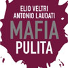 mafiapulitaweb